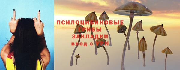 COCAINE Ладушкин