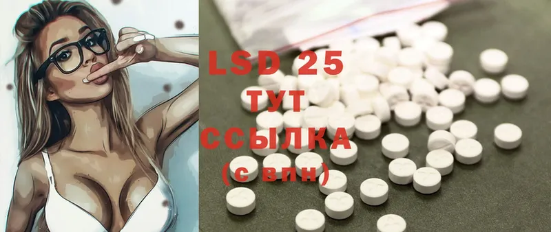 как найти закладки  Шуя  LSD-25 экстази кислота 