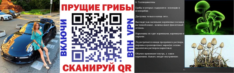 Псилоцибиновые грибы GOLDEN TEACHER Шуя
