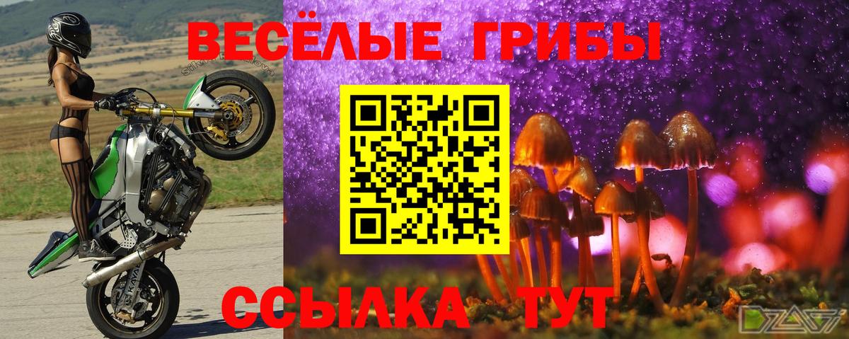 Галлюциногенные грибы MAGIC MUSHROOMS  Псилоцибиновые грибы ЛСД  Шуя 