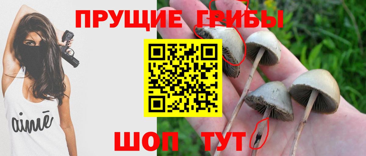 Галлюциногенные грибы ЛСД  Галлюциногенные грибы Psilocybe  Шуя  Вход с VPN 